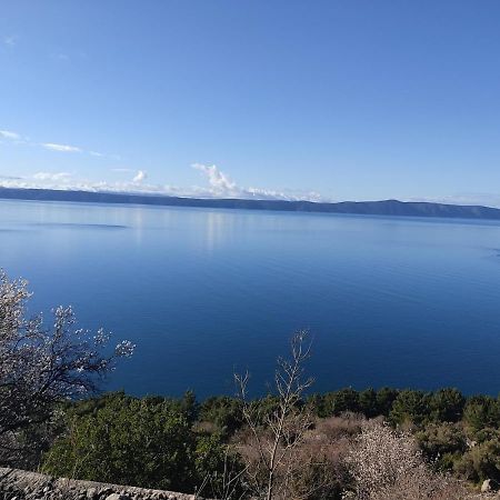 Apartman Krzenic With Sea View 伯德古拉 外观 照片