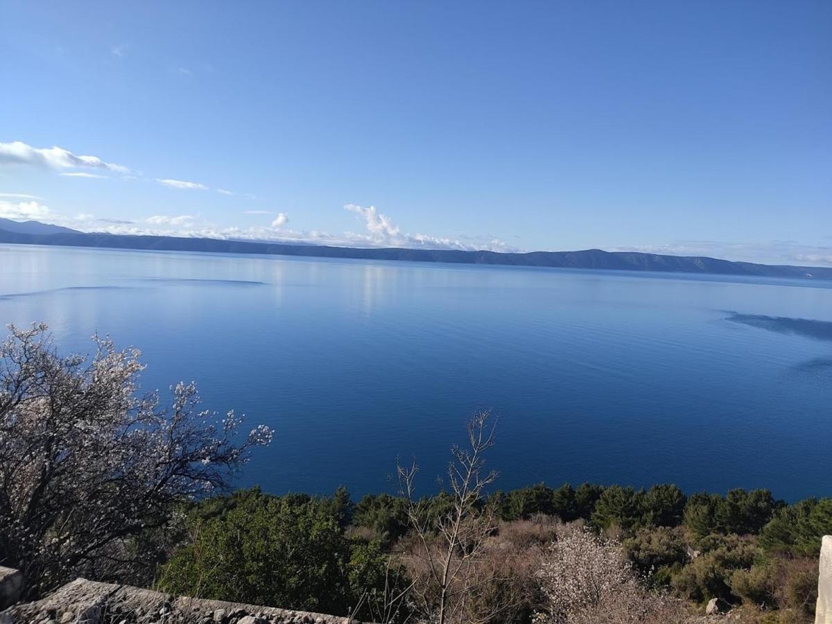 Apartman Krzenic With Sea View 伯德古拉 外观 照片